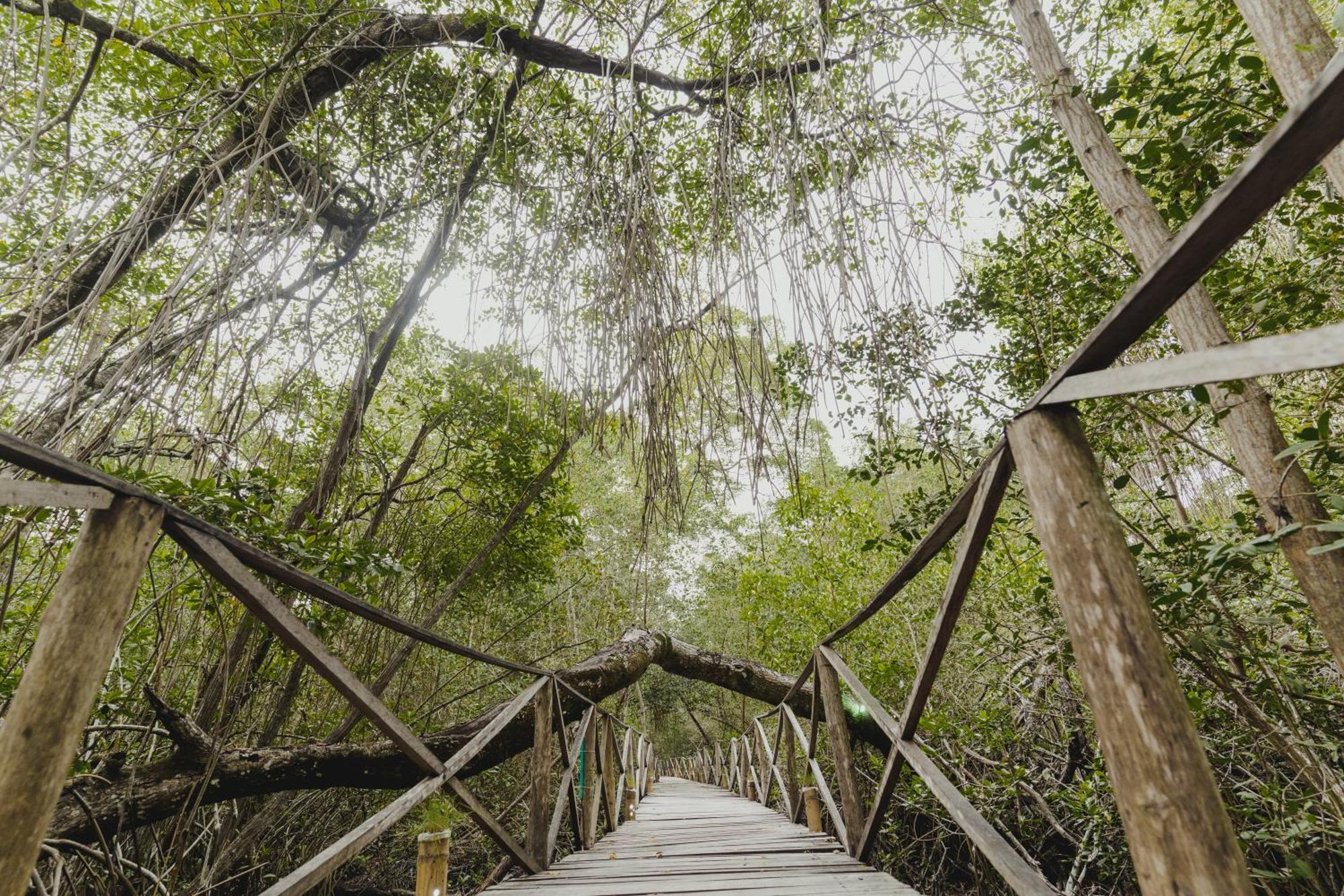 Uuttaaka Eco-Hotel Palomino Zewnętrze zdjęcie