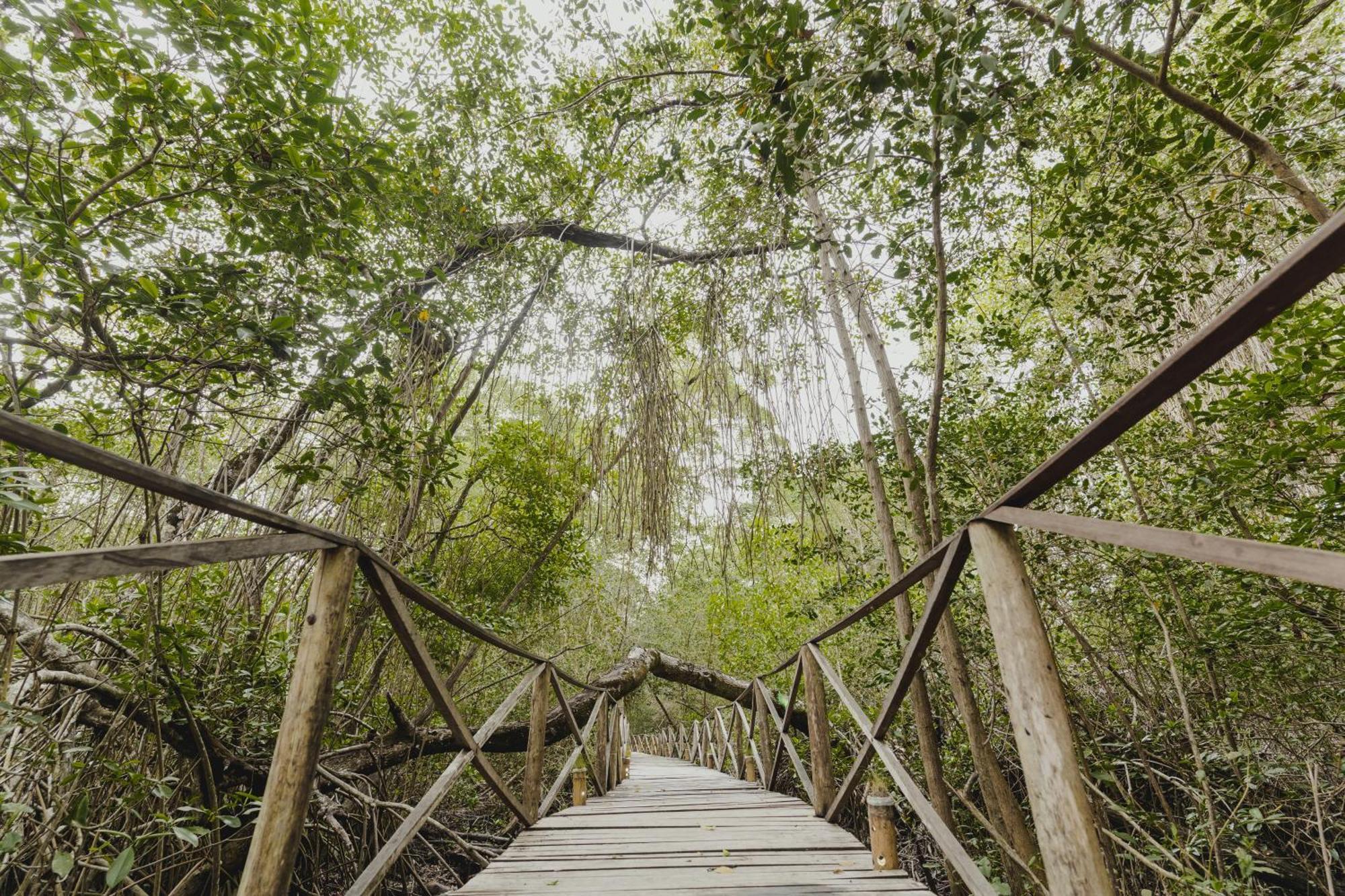 Uuttaaka Eco-Hotel Palomino Zewnętrze zdjęcie